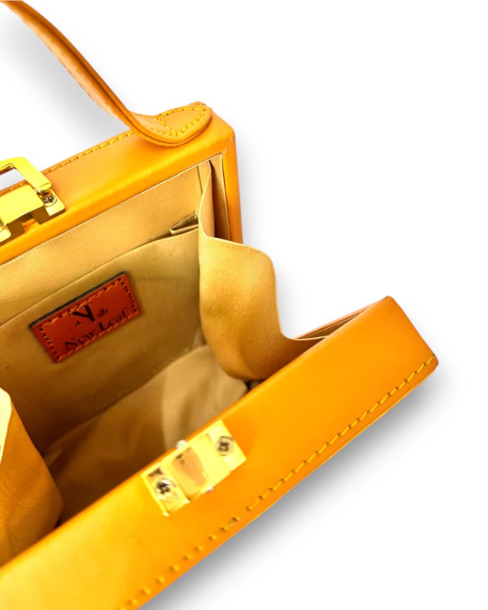 Mini Bansuri Lippan Art Box Bag