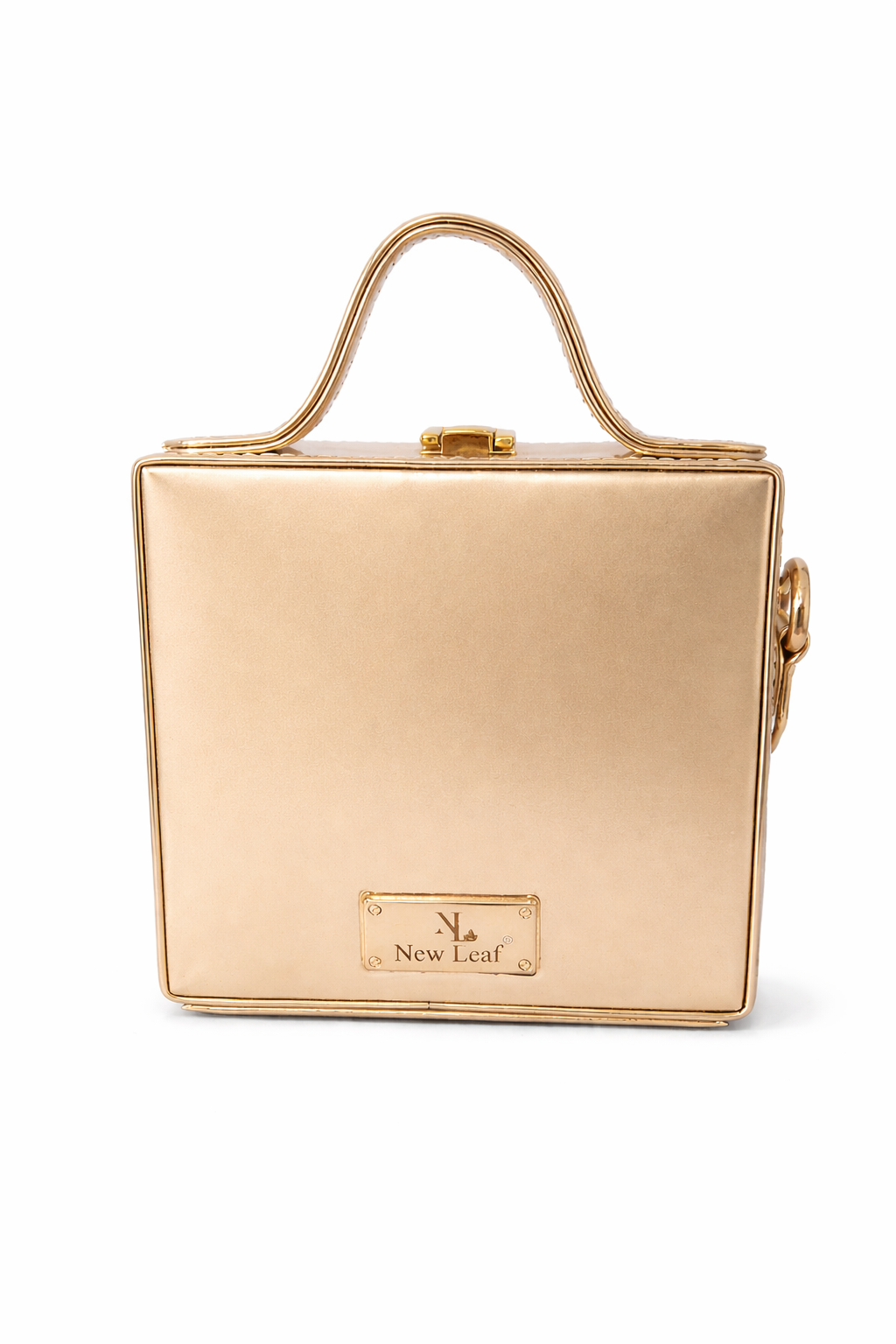 Gauri Lippan Art Box Bag